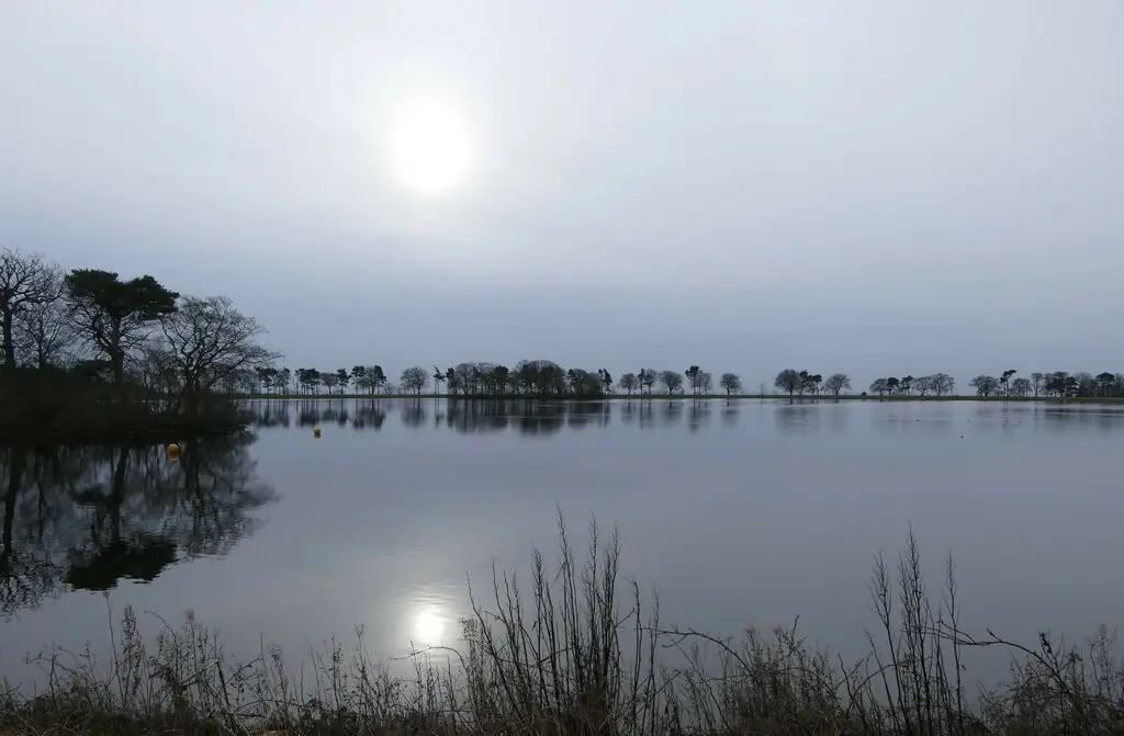 Monikie Country Park, Monikie