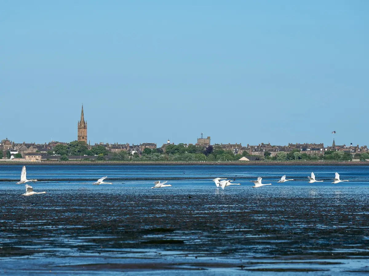 Montrose Basin Visitor Centre, Montrose