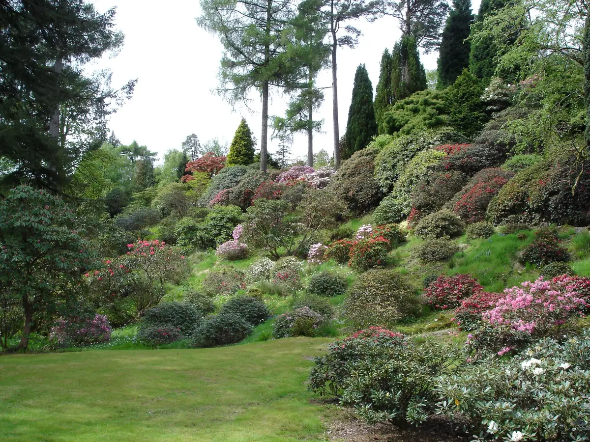 Benmore Botanic Garden, Dunoon