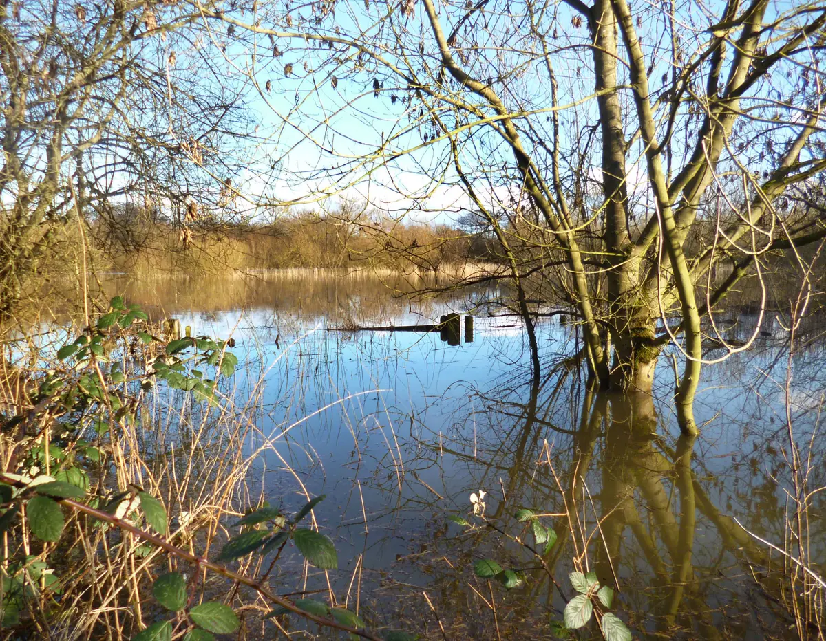 Dinton Pastures Country Park, Hurst