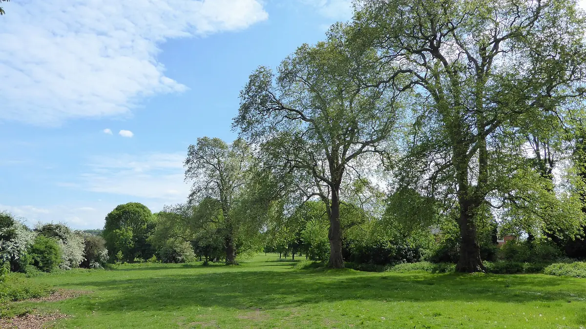 Foots Cray Meadows, Sidcup
