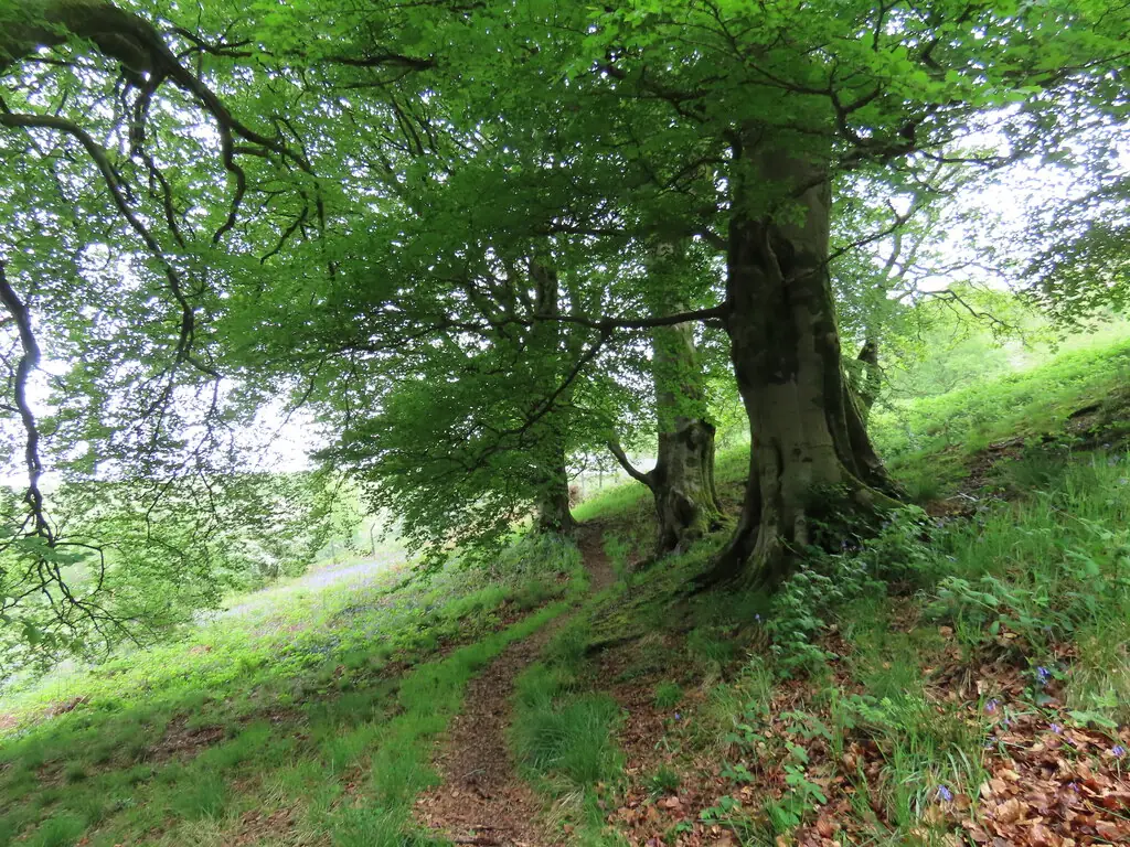 Silent Valley Local Nature Reserve, Cwm