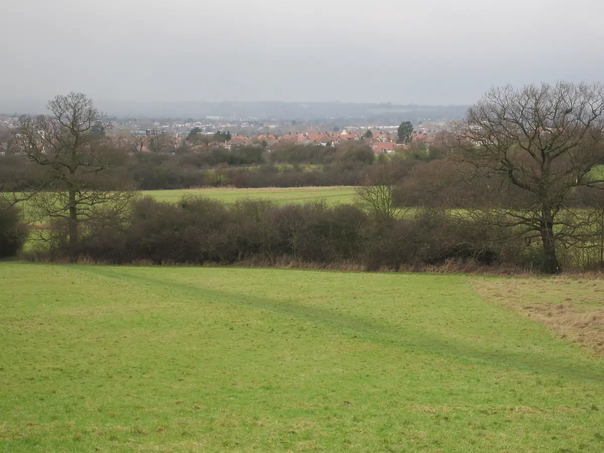 Fryent Country Park, Kingsbury