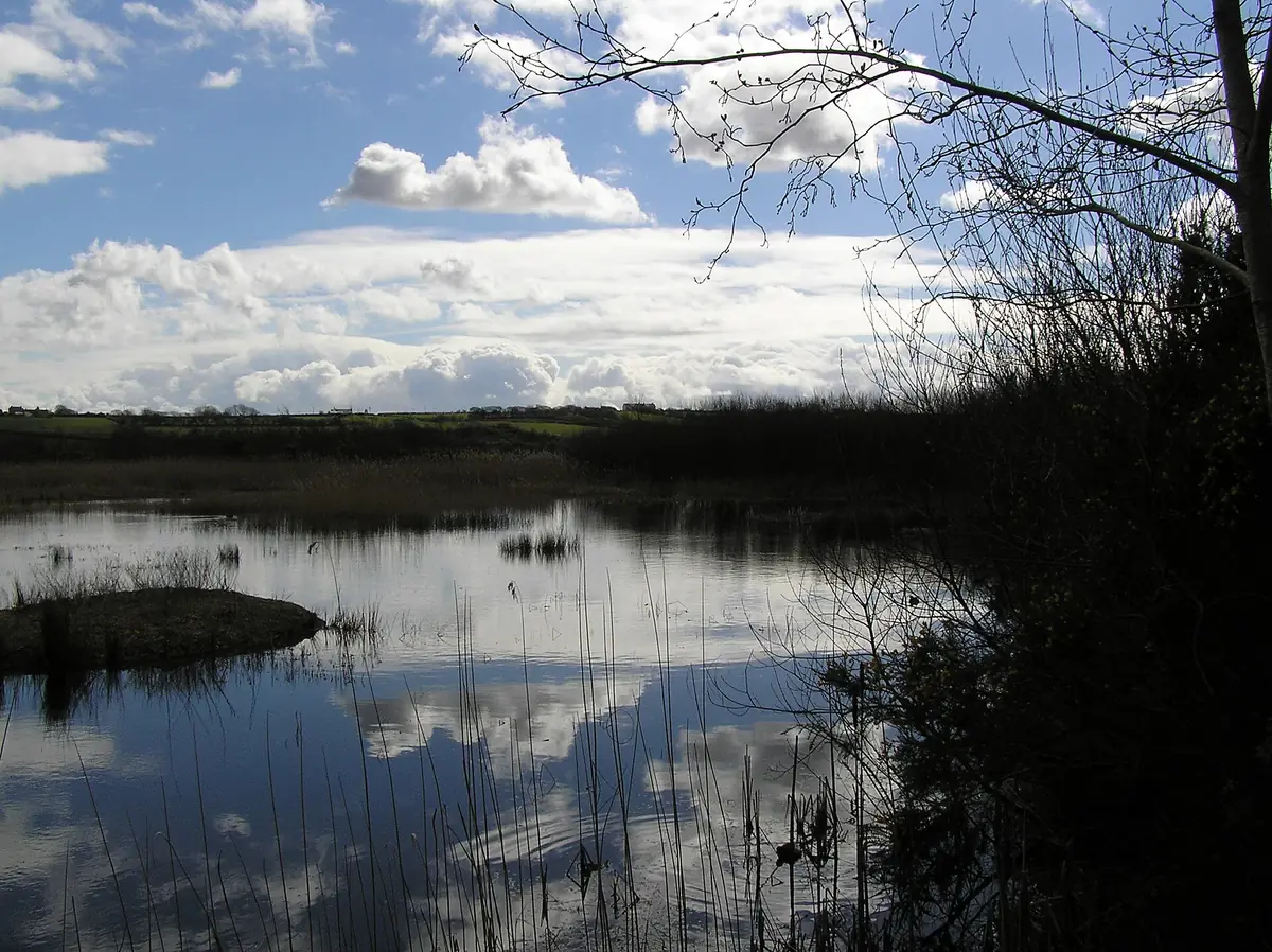 Parc Slip Nature Reserve, Aberkenfig