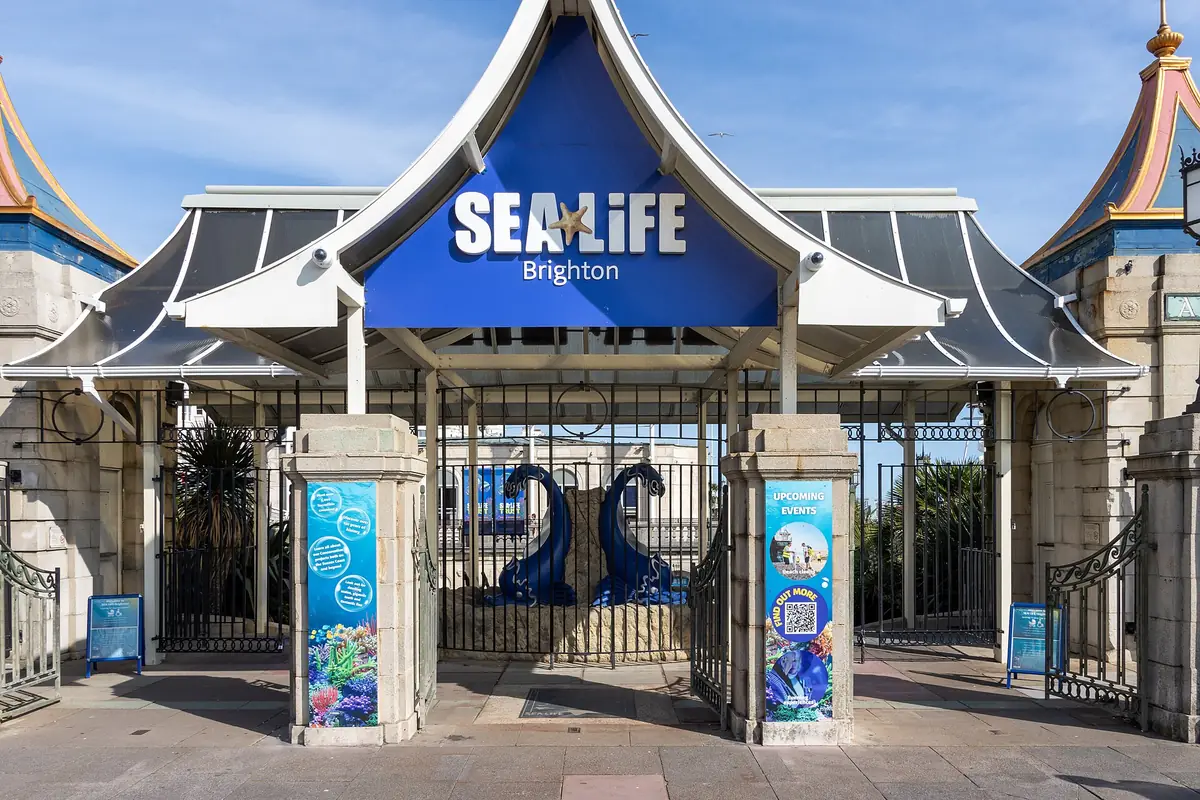 SEA LIFE Brighton, Brighton