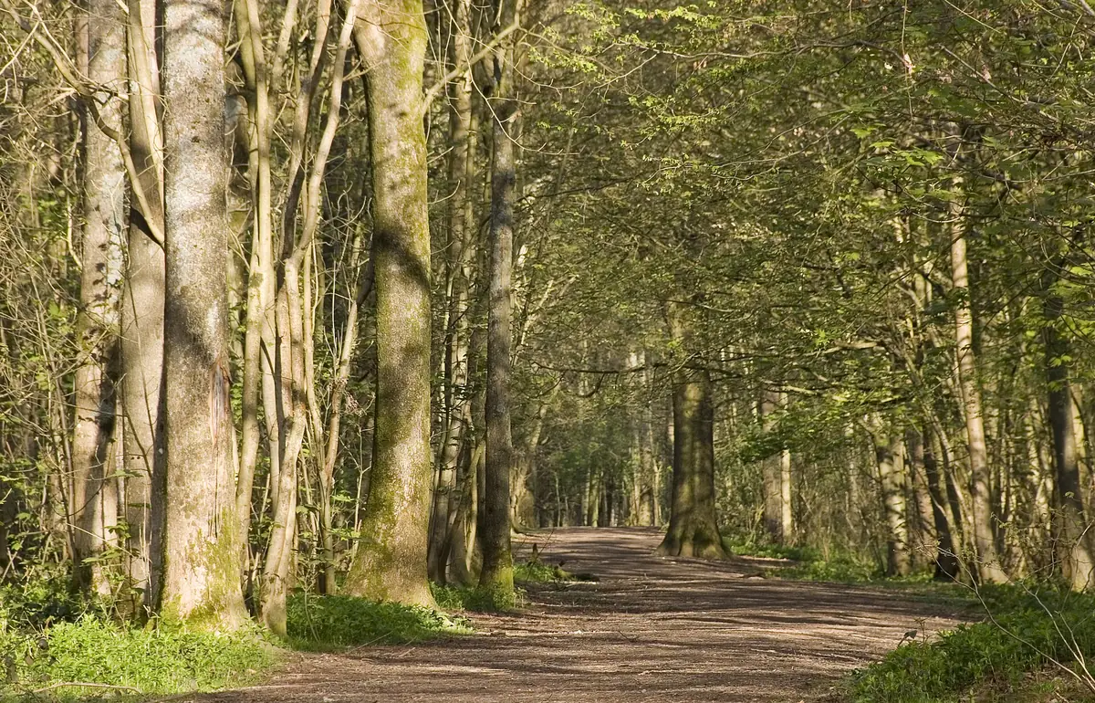 Stanmer Park, Stanmer