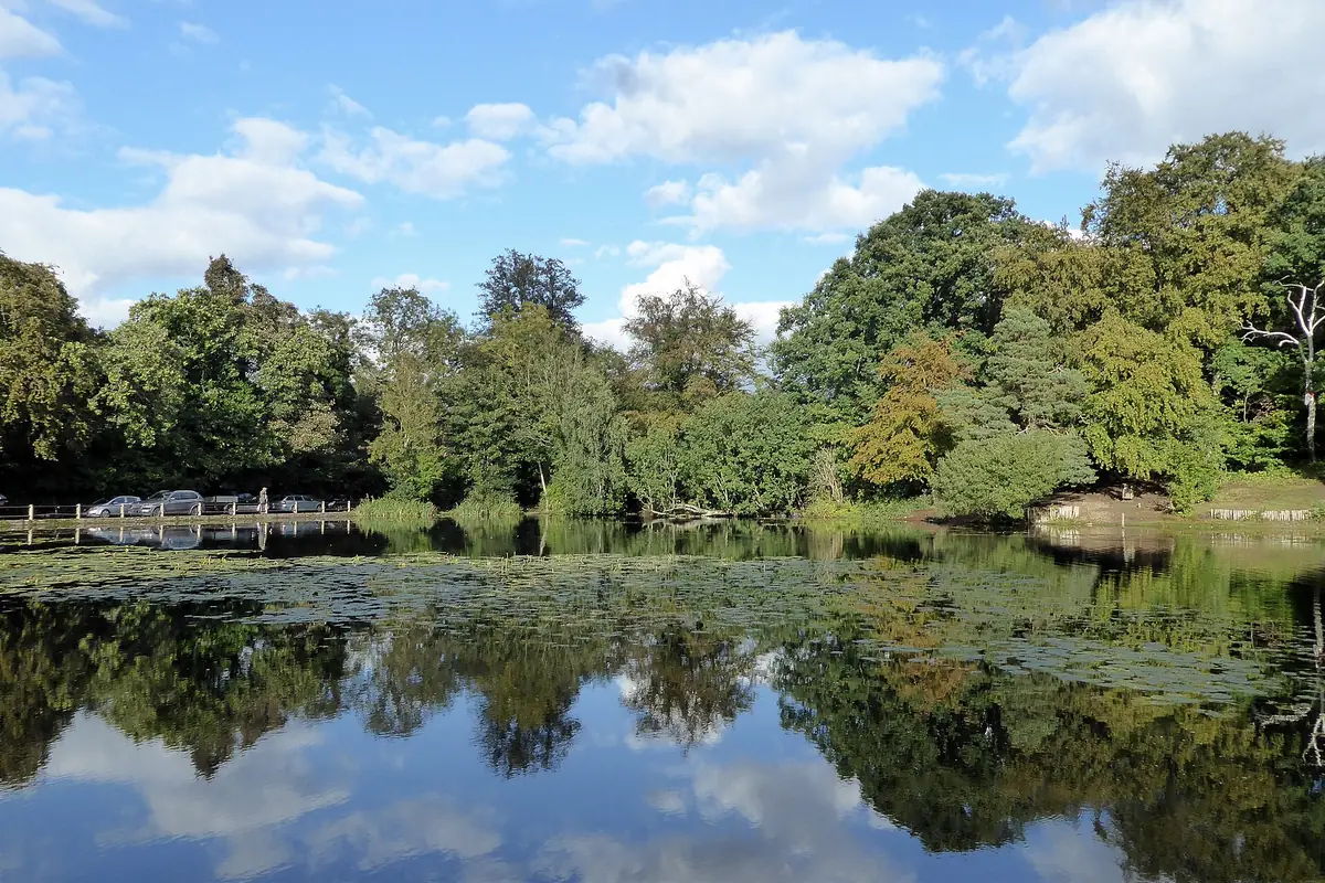 Keston Common and Keston Ponds, Keston