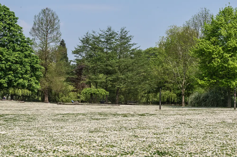 Priory Gardens, Orpington