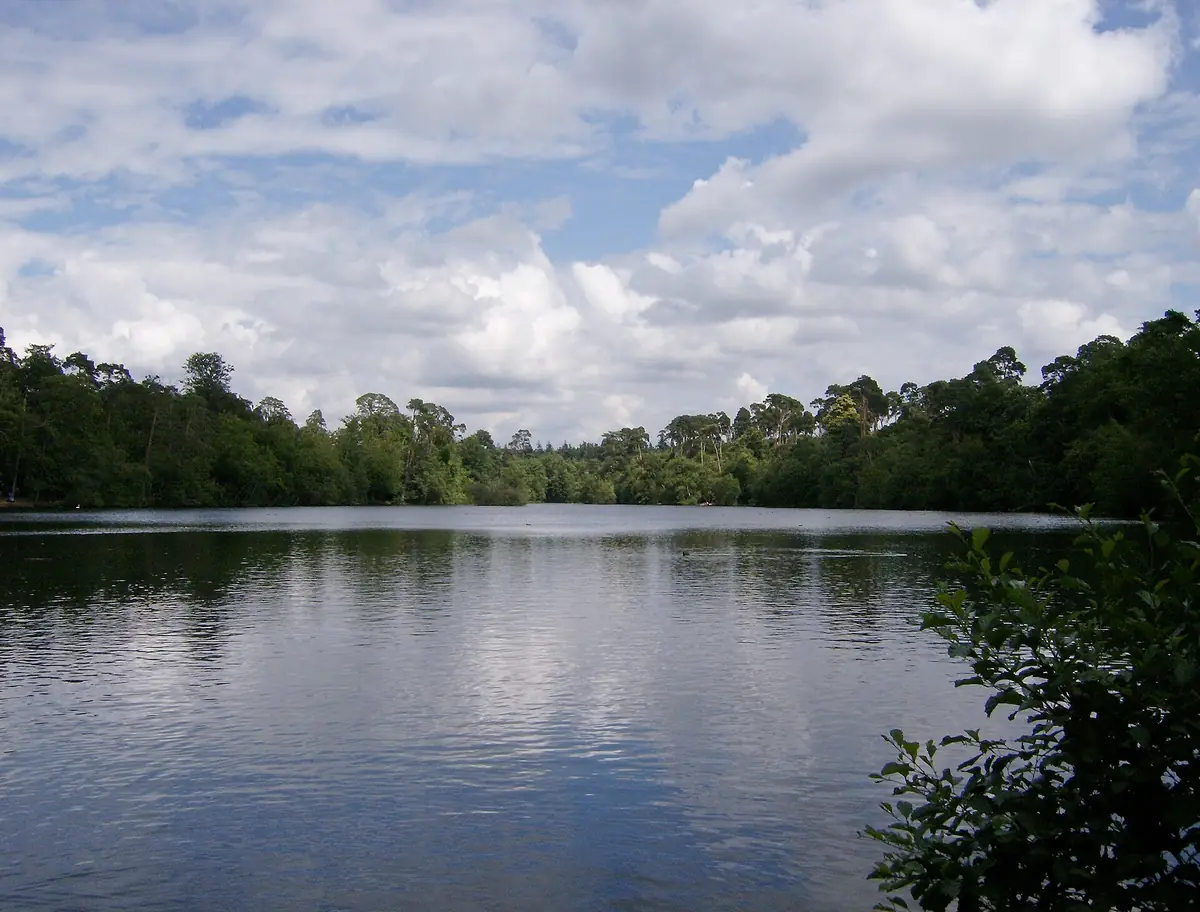 Black Park Country Park, Wexham