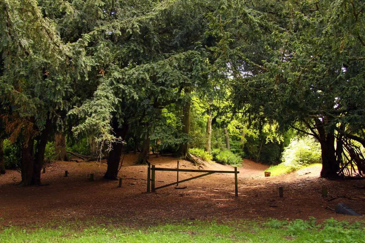 Wendover Woods, Wendover