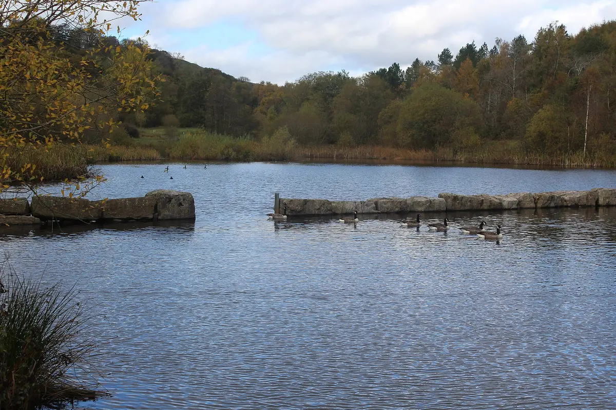 Parc Cwm Darran, Bargoed