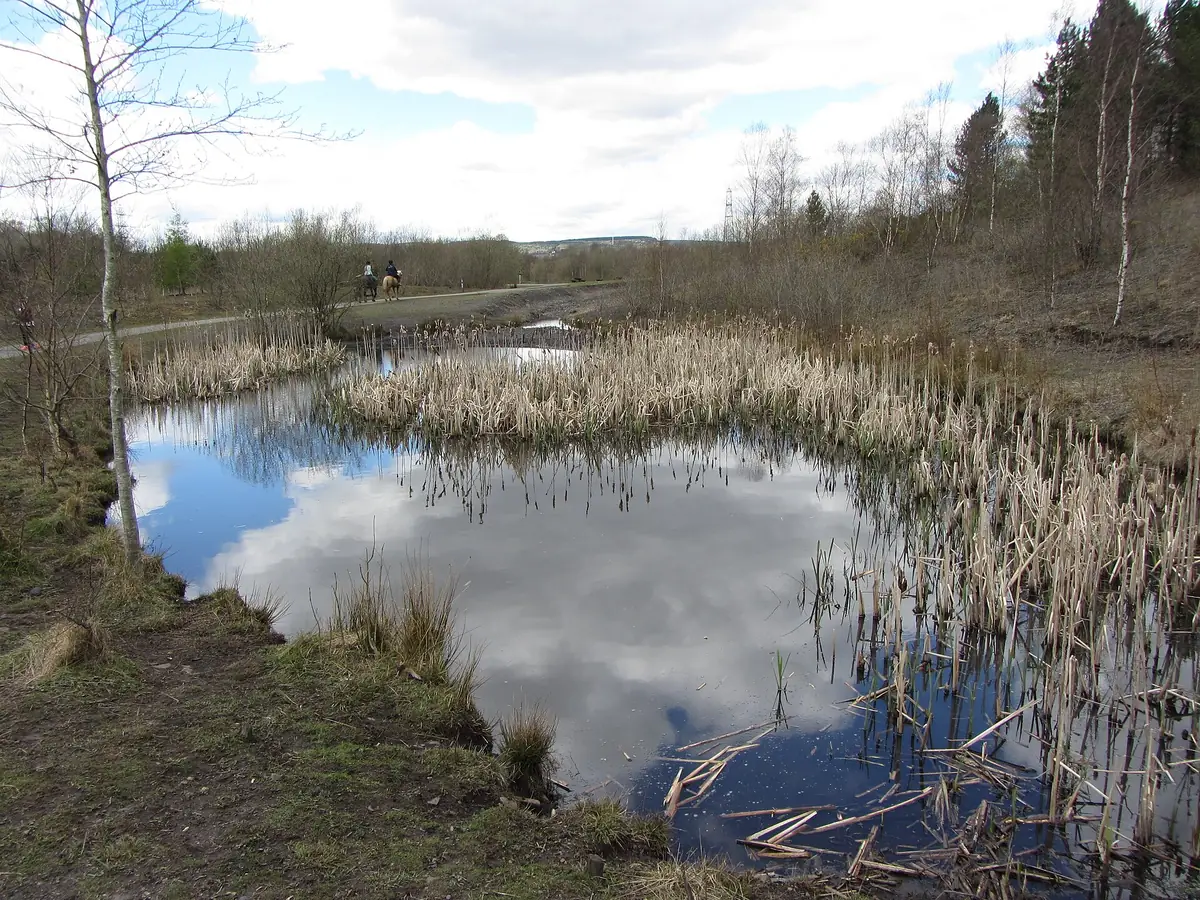 Parc Penallta, Ystrad Mynach
