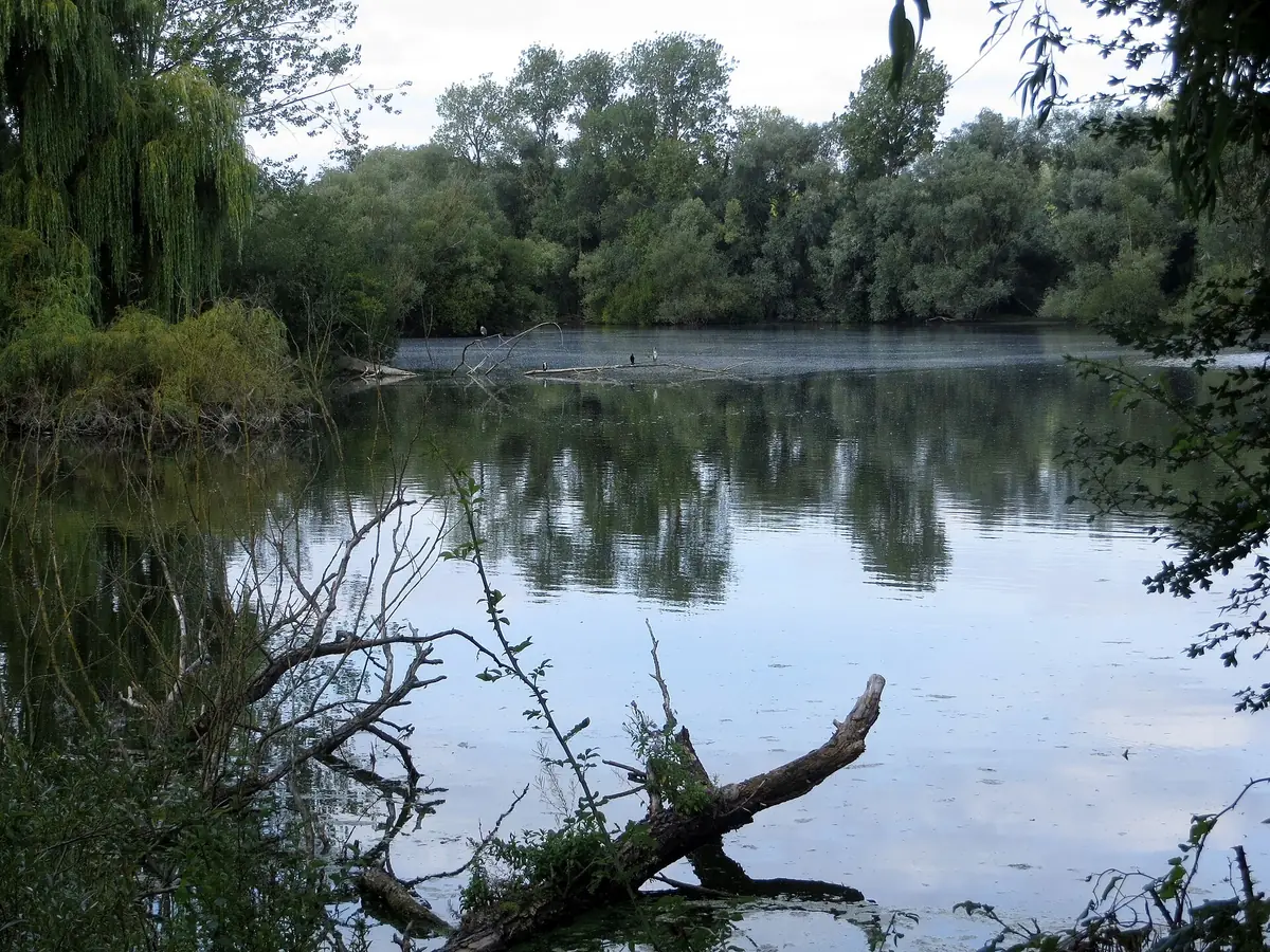 Paxton Pits Nature Reserve, Little Paxton