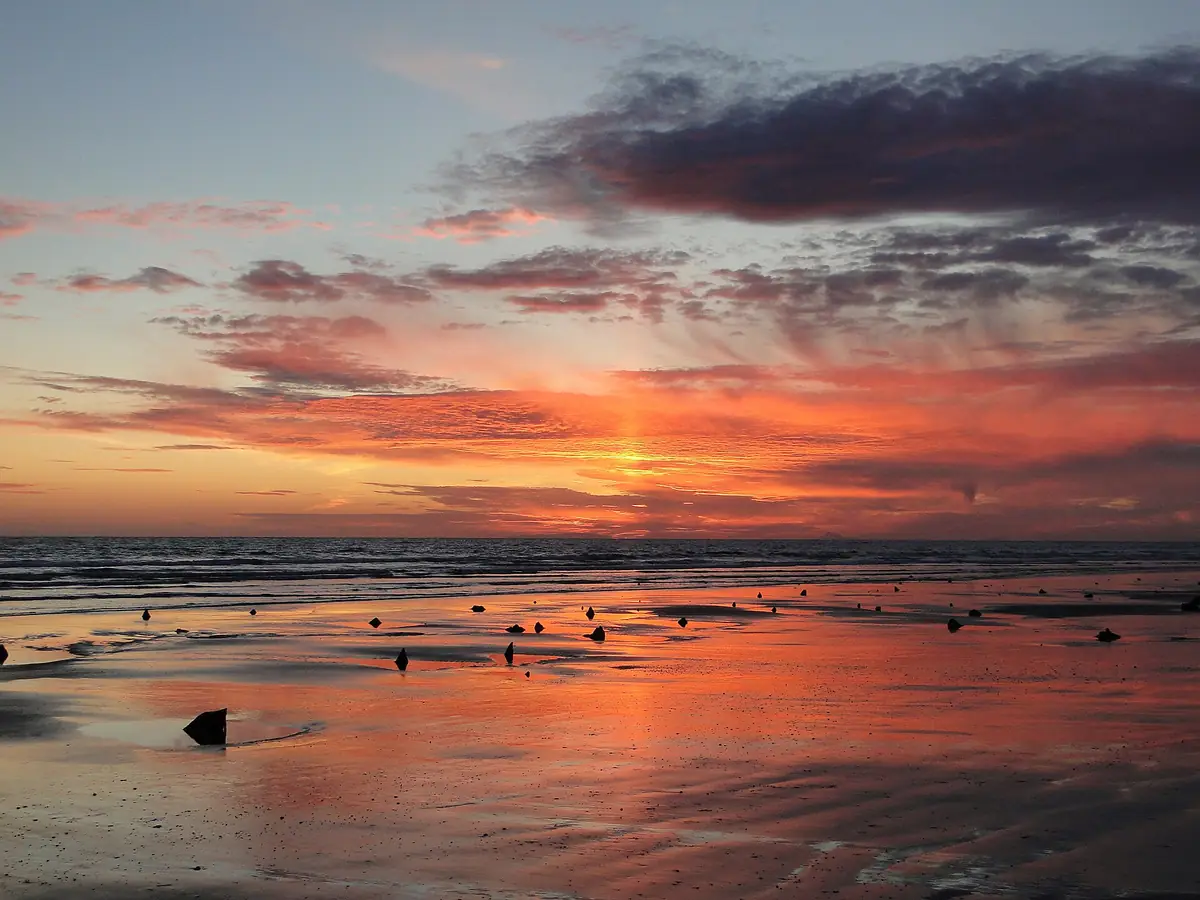 Ynyslas, Dyfi National Nature Reserve, Borth
