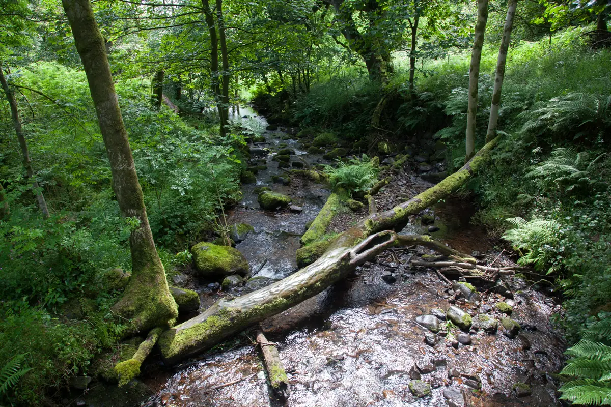 Dollar Glen, Dollar