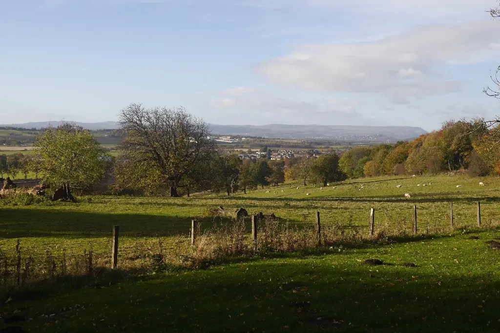 Ochil Hills Woodland Park, Alva