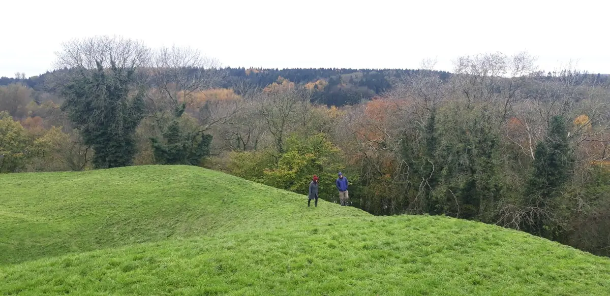 Mountsandel Wood, Coleraine