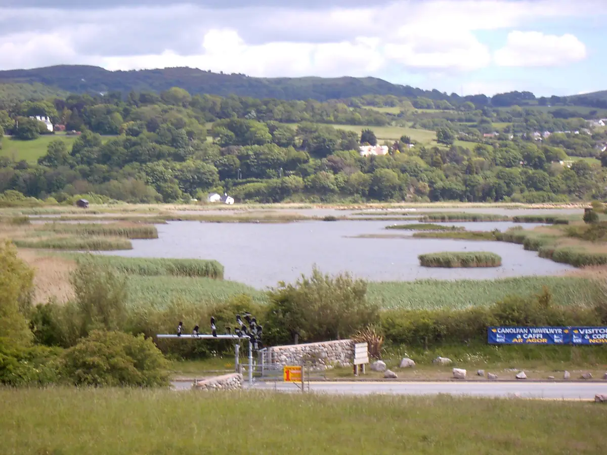 RSPB Conwy, Llandudno Junction
