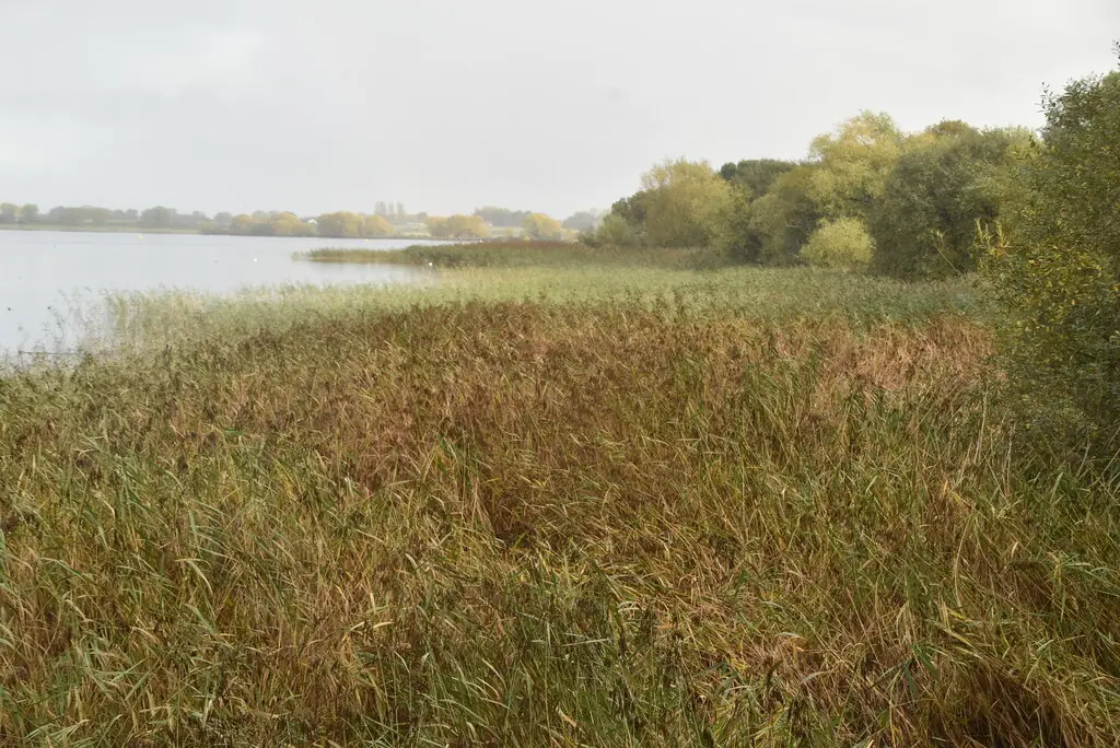 Oxford Island National Nature Reserve, Lurgan