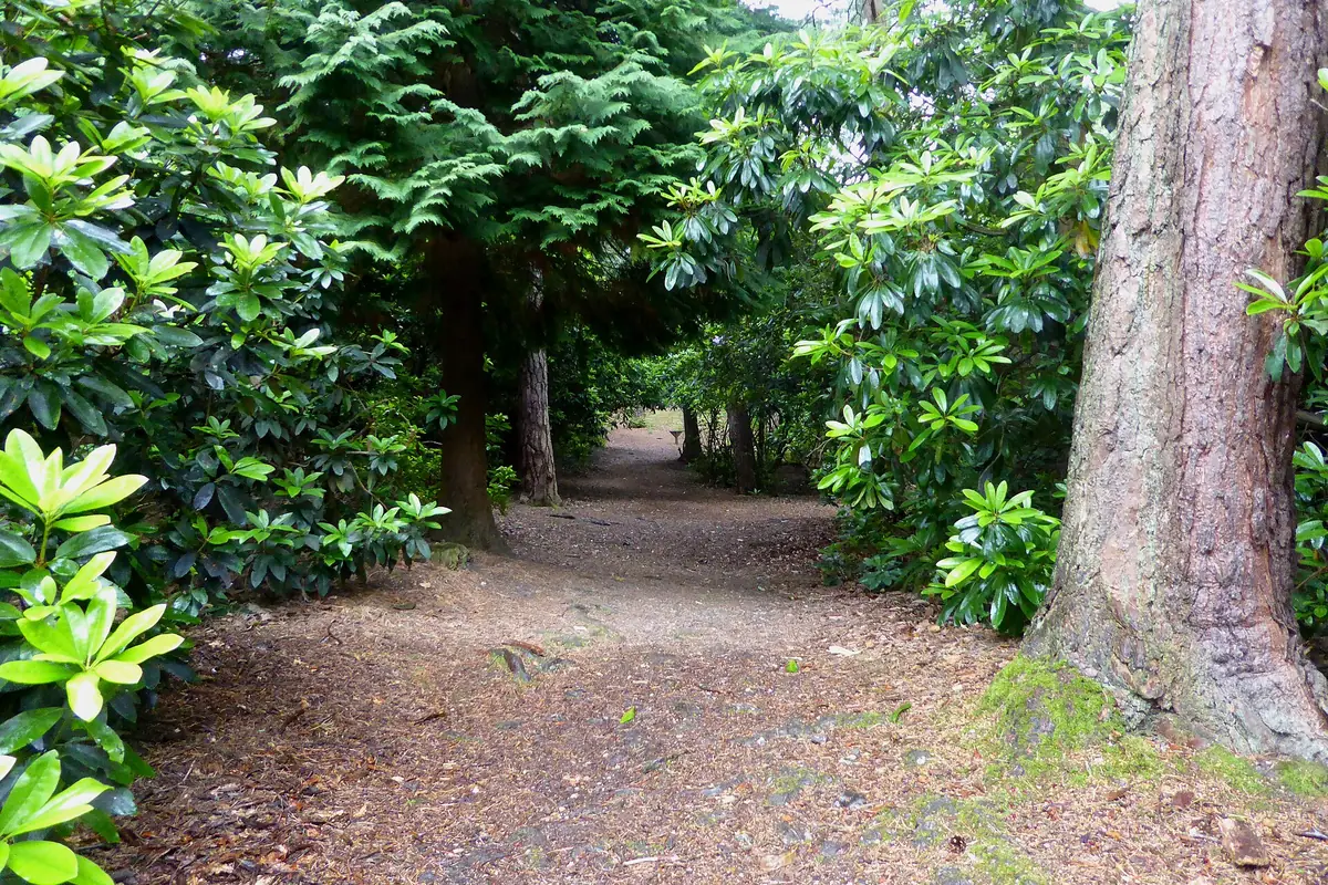 Coombe Wood, South Croydon