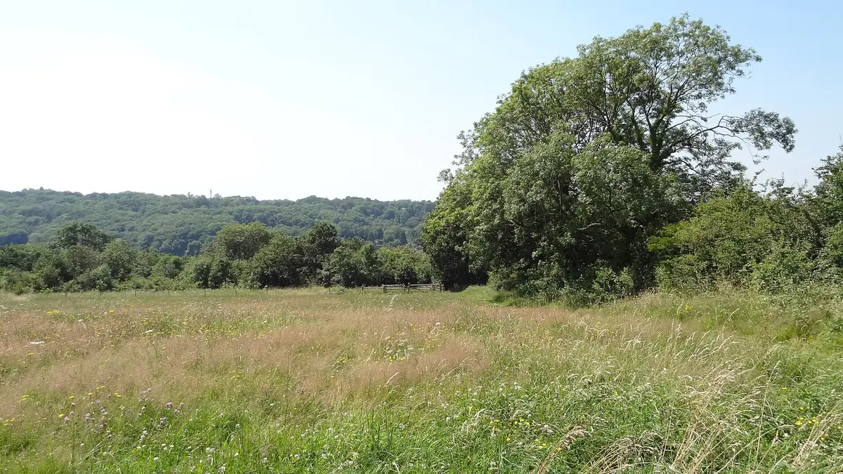 Riddlesdown, Riddlesdown