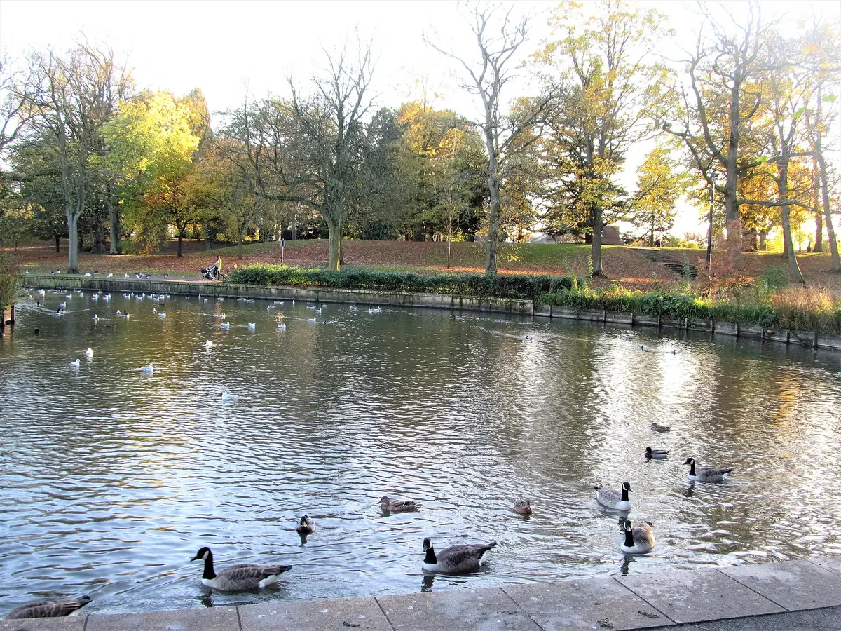 South Park, Darlington