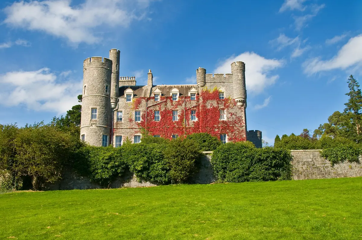 Castlewellan Forest Park, Castlewellan