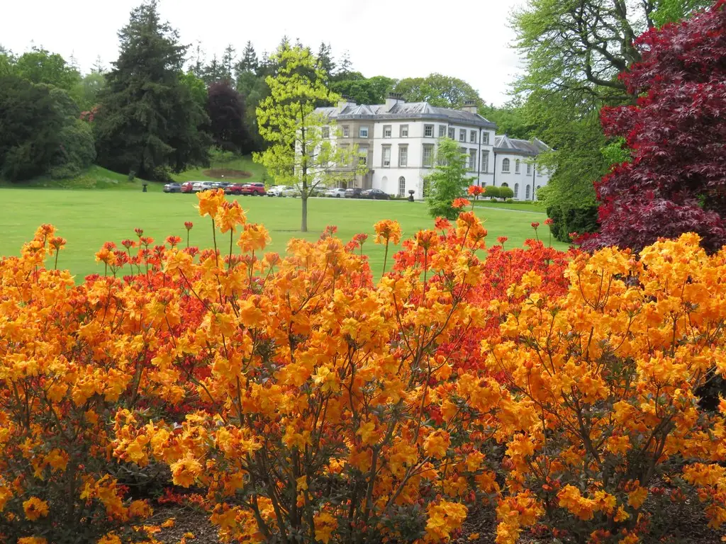Montalto Estate, Ballynahinch