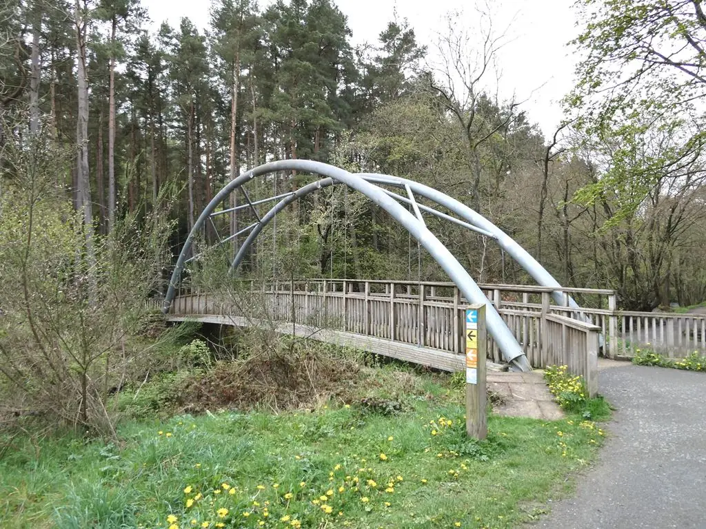 Hamsterley Forest, Bishop Auckland