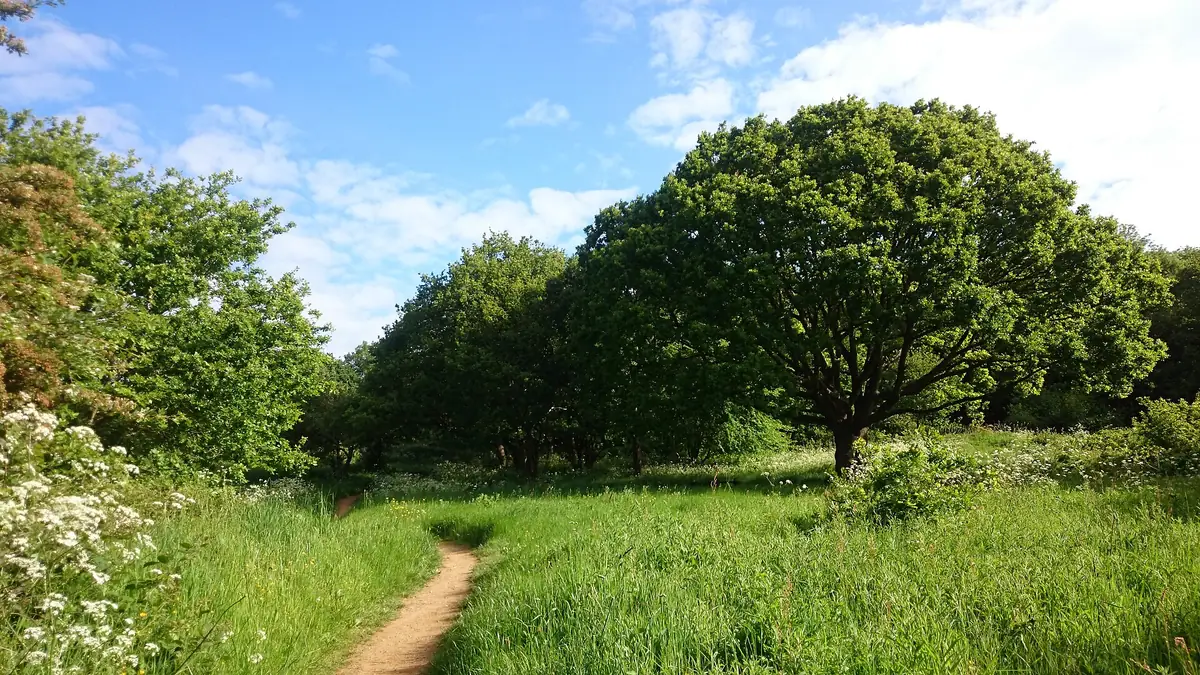 Horsenden Hill, Perivale