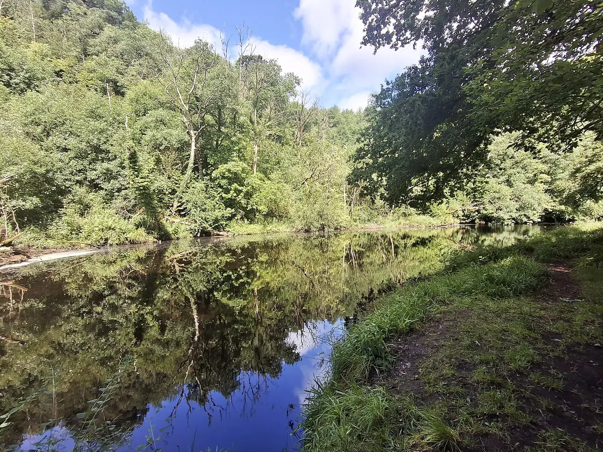 Catrine Voes, Catrine