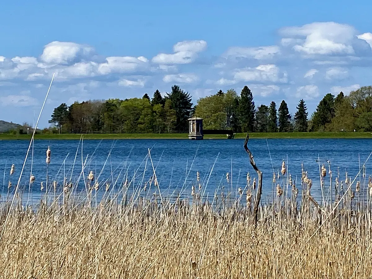 Dams to Darnley Country Park, Barrhead