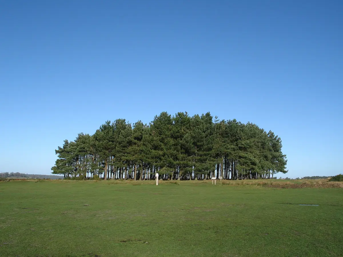 Ashdown Forest, Forest Row