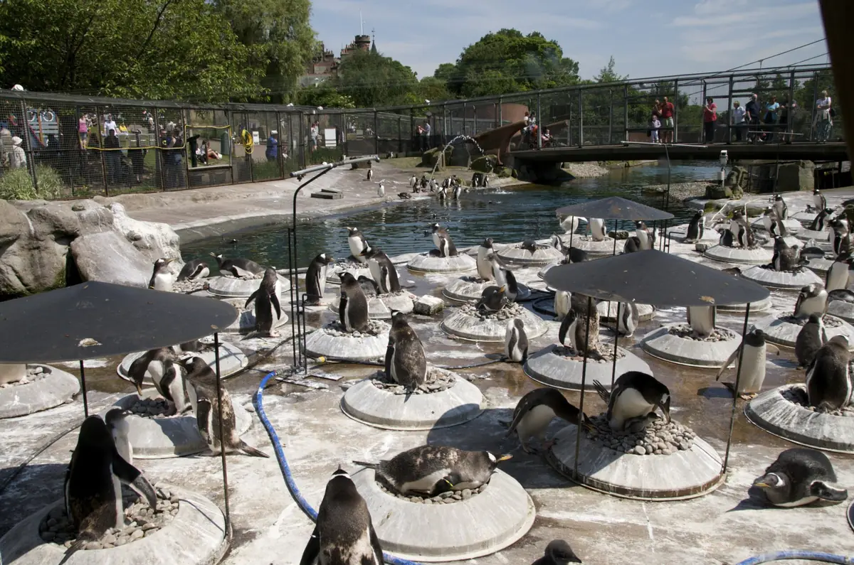 Edinburgh Zoo, Corstorphine