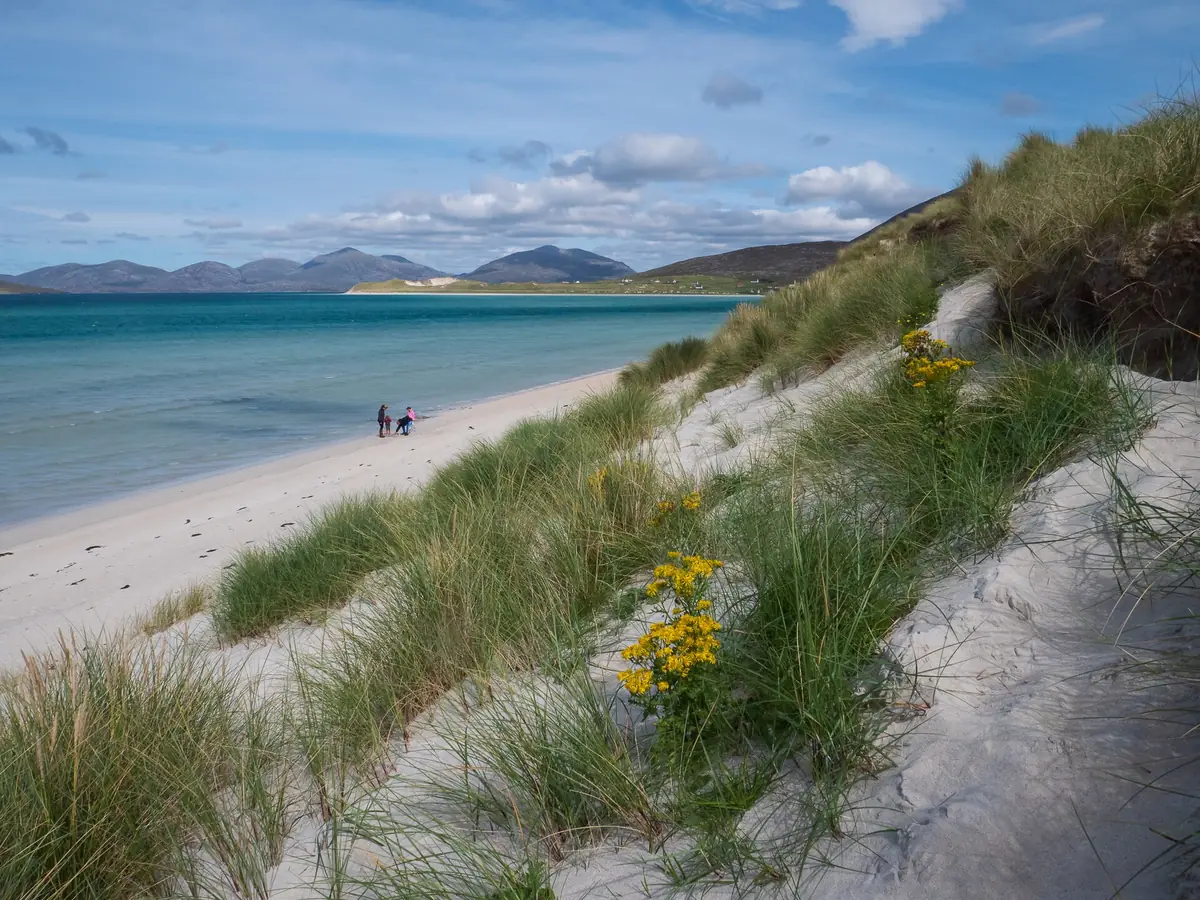Luskentyre Beach, Luskentyre