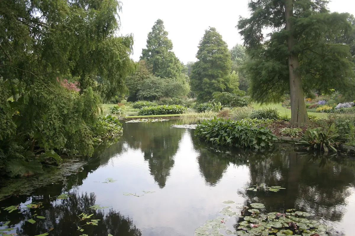 Beth Chatto's Plants and Gardens, Elmstead Market