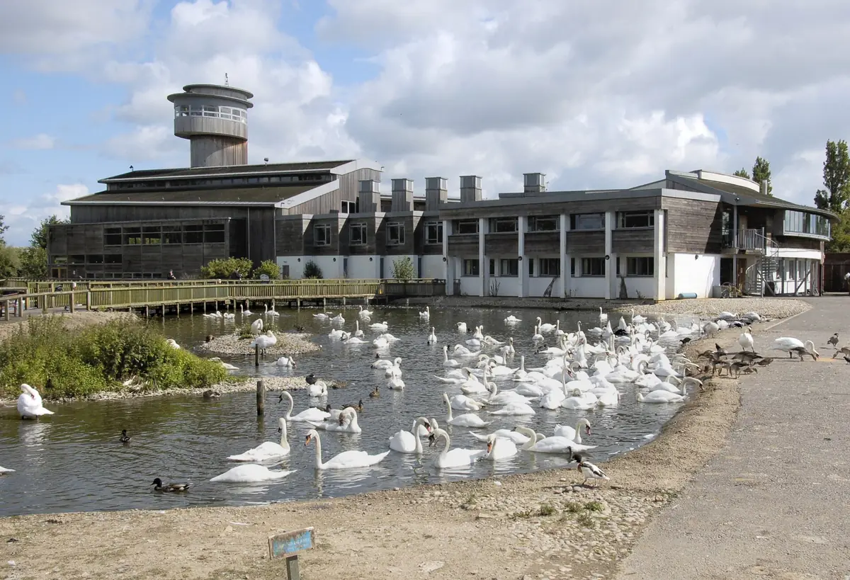 WWT Slimbridge Wetland Centre, Slimbridge