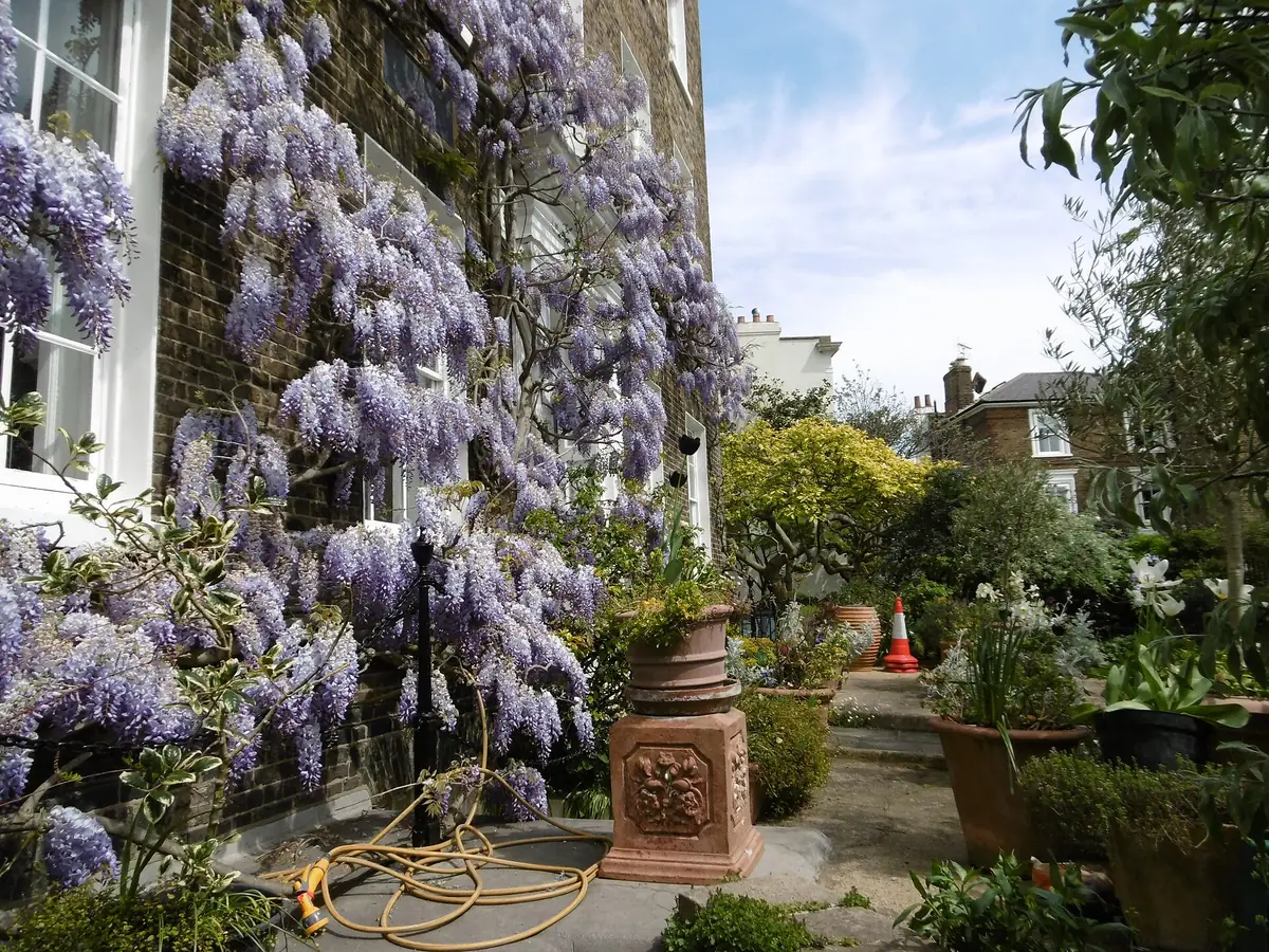 Kelmscott House, William Morris Society, Hammersmith