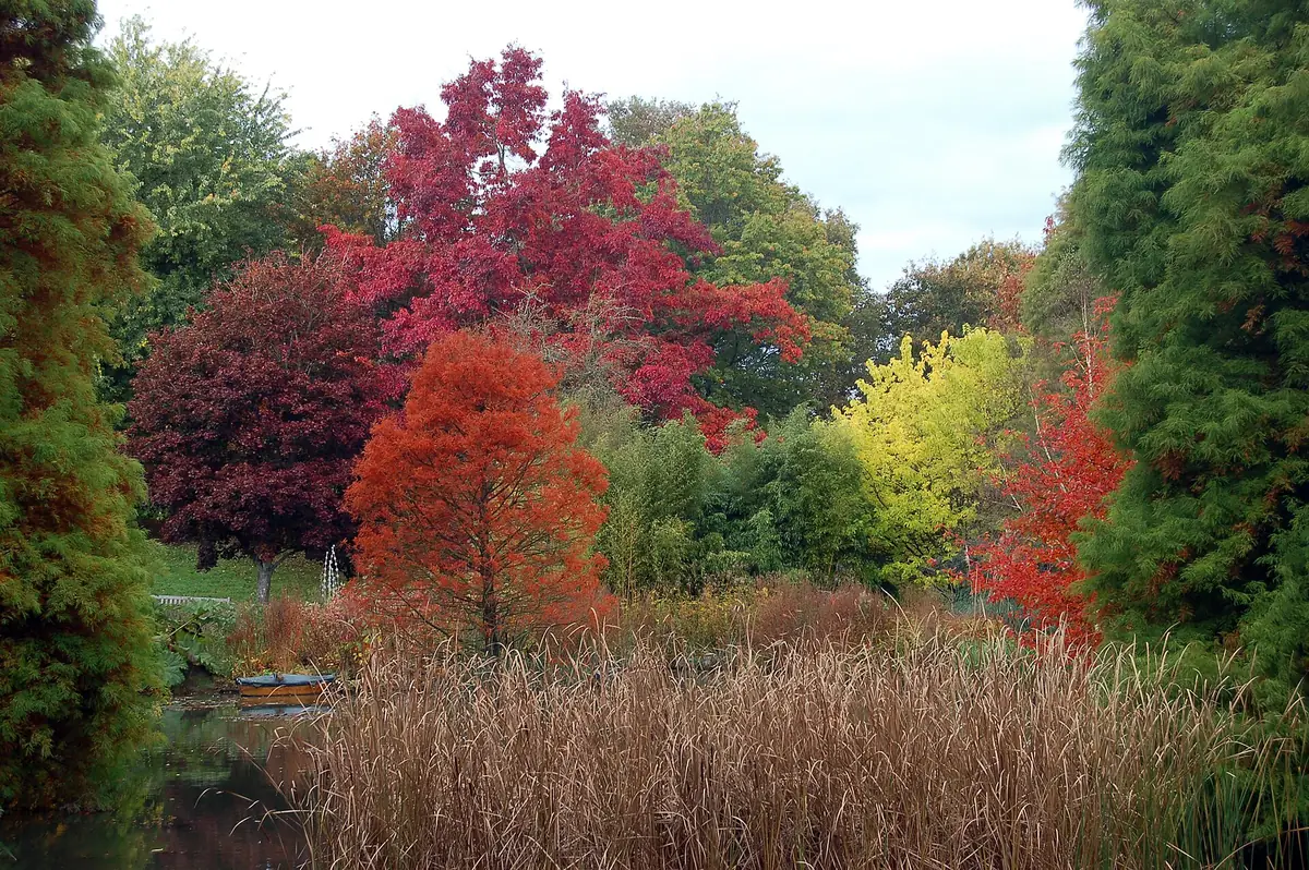 Sir Harold Hillier Gardens, Ampfield