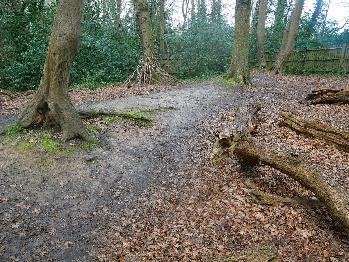 Highgate Wood, Highgate