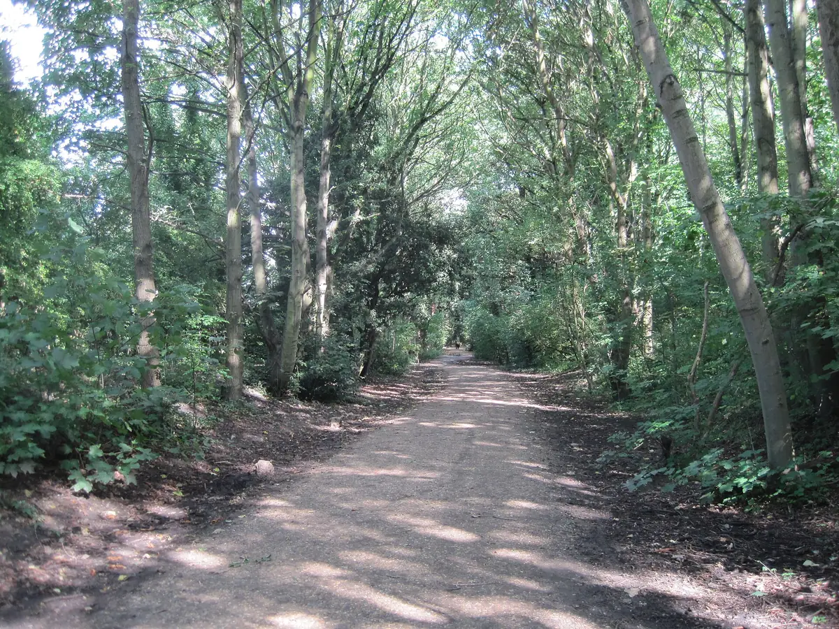 Parkland Walk, Crouch End