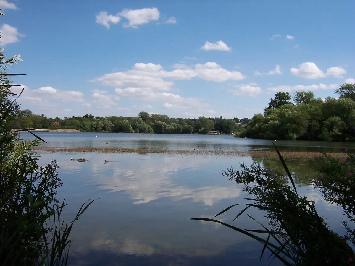 Aldenham Country Park, Elstree