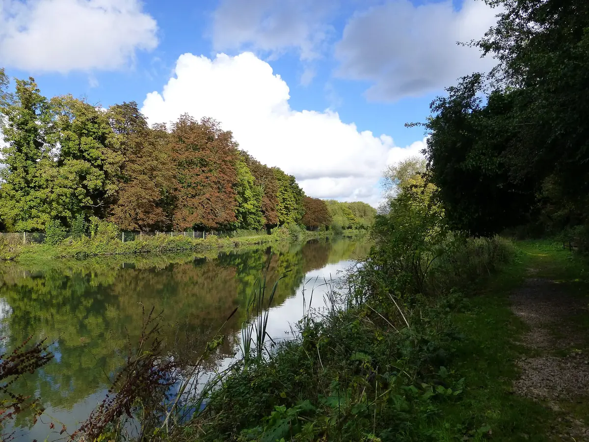 RSPB Rye Meads, Hoddesdon