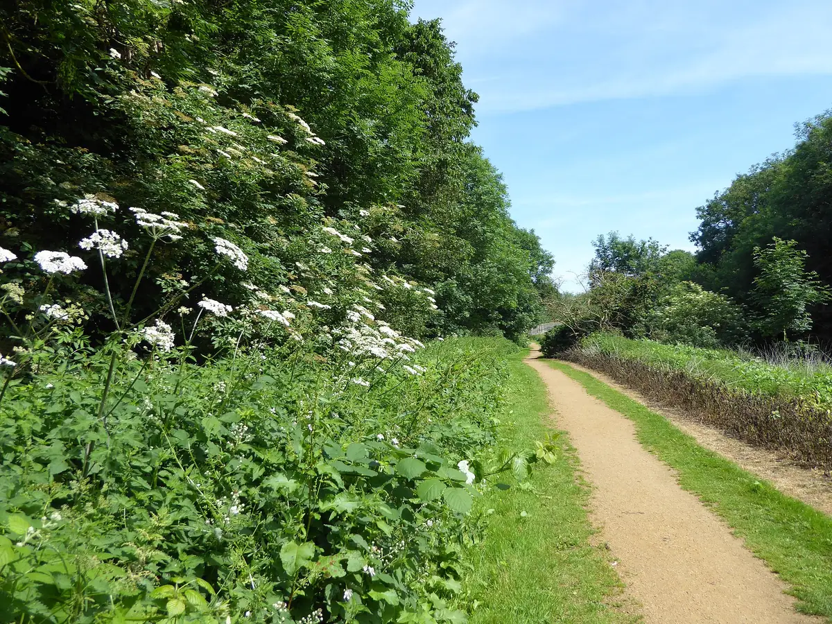 Cranford Country Park, Cranford