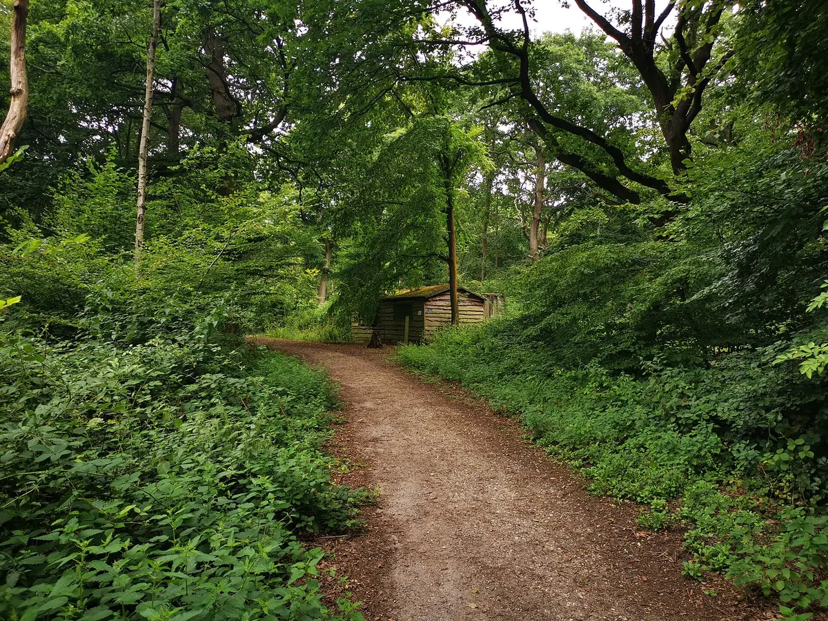 Ruislip Woods National Nature Reserve, Ruislip
