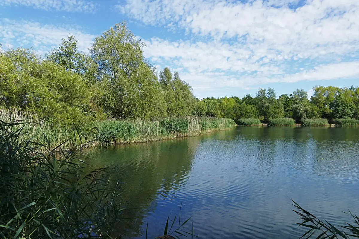 Bedfont Lakes Country Park, Feltham