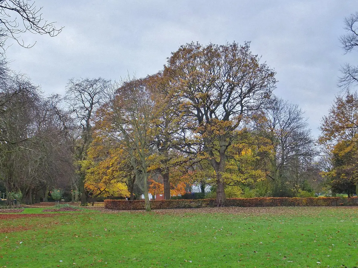 Pearson Park, Hull