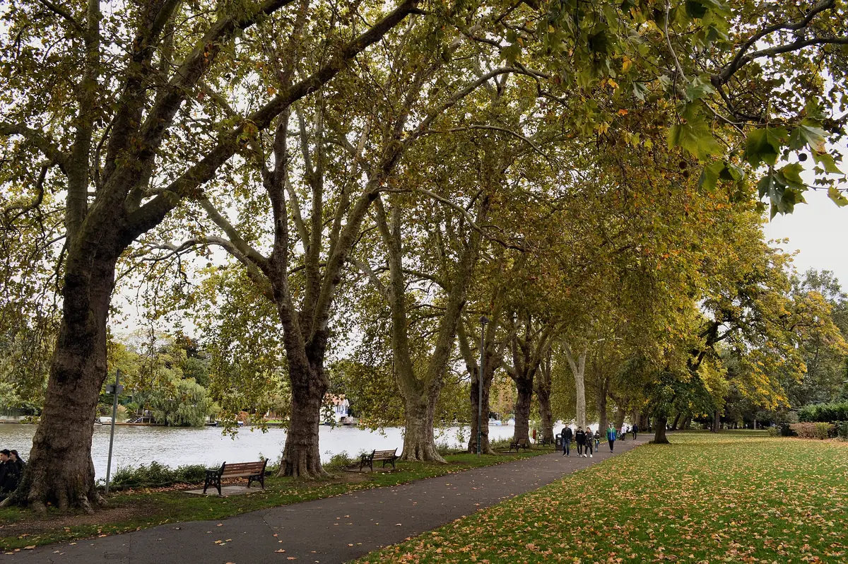 Canbury Gardens, Kingston upon Thames