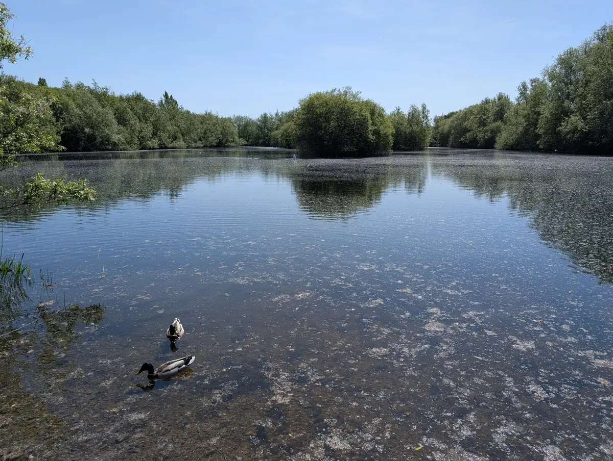 Watermead Country Park, Syston