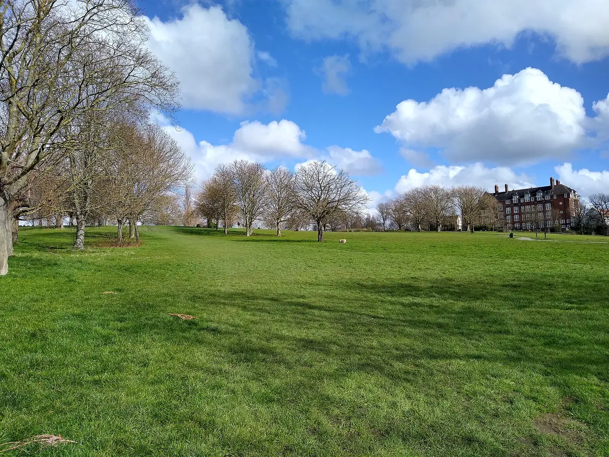 Hilly Fields, Brockley